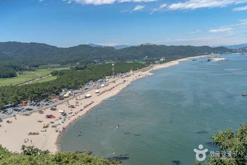 삼척 덕봉산 해안생태탐방로 이미지 4