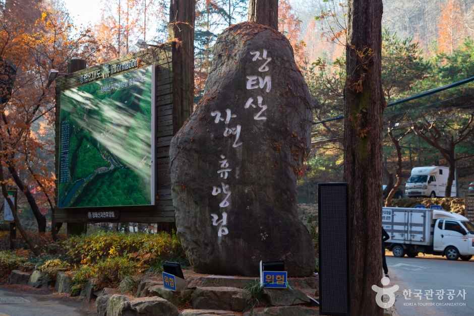 대전 장태산 자연휴양림 이미지 1