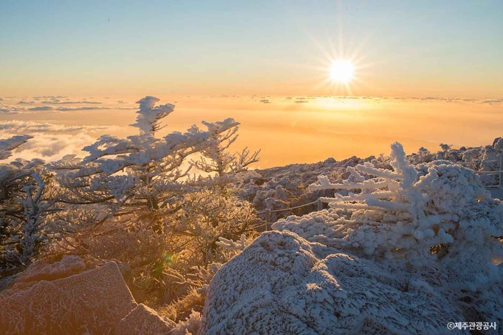제주 한라산 국립공원 그리고 한라눈꽃버스 이미지 2