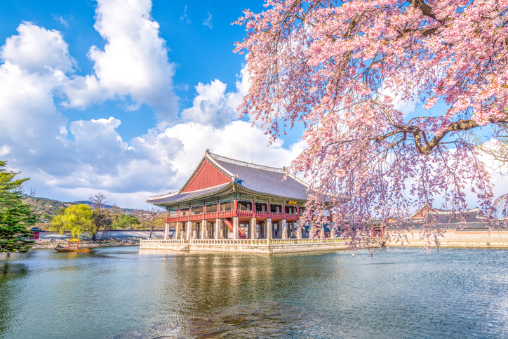 서울 경복궁 이미지 3