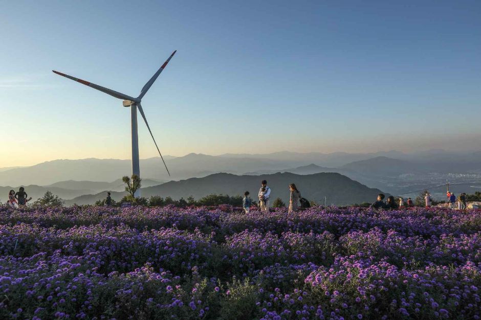 경남 거창 별바람언덕 이미지 7