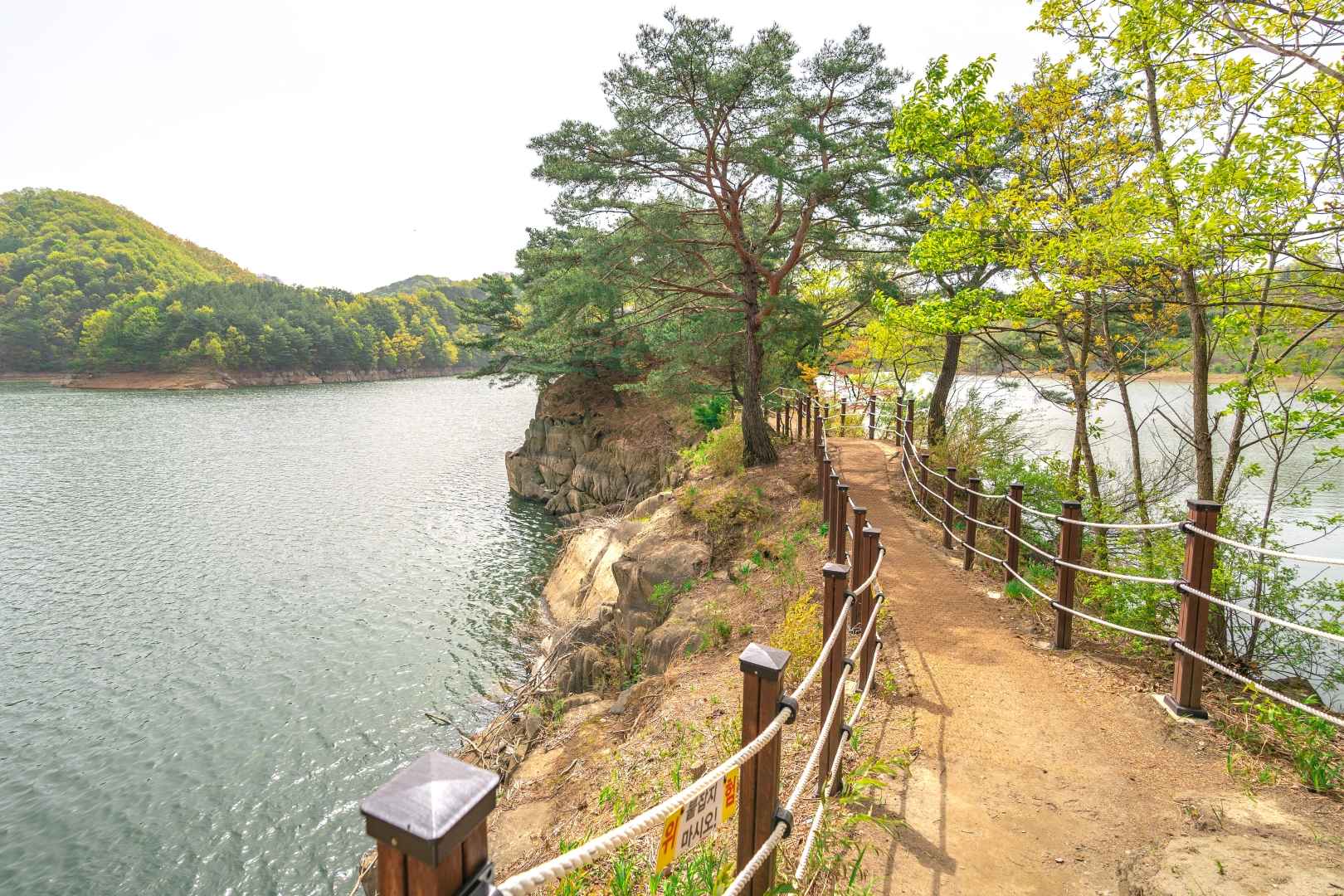 충북 옥천 부소담악 (추소정) 이미지 4