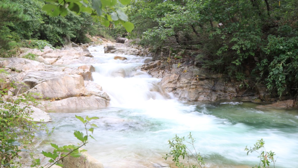 국립 춘천숲체원 이미지 4