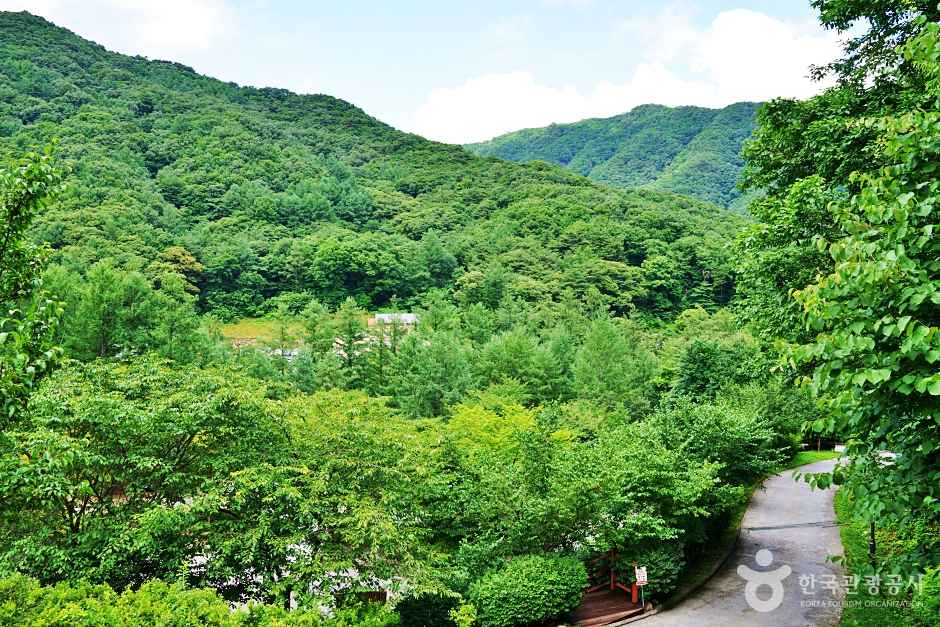 제천 덕동계곡 이미지 8