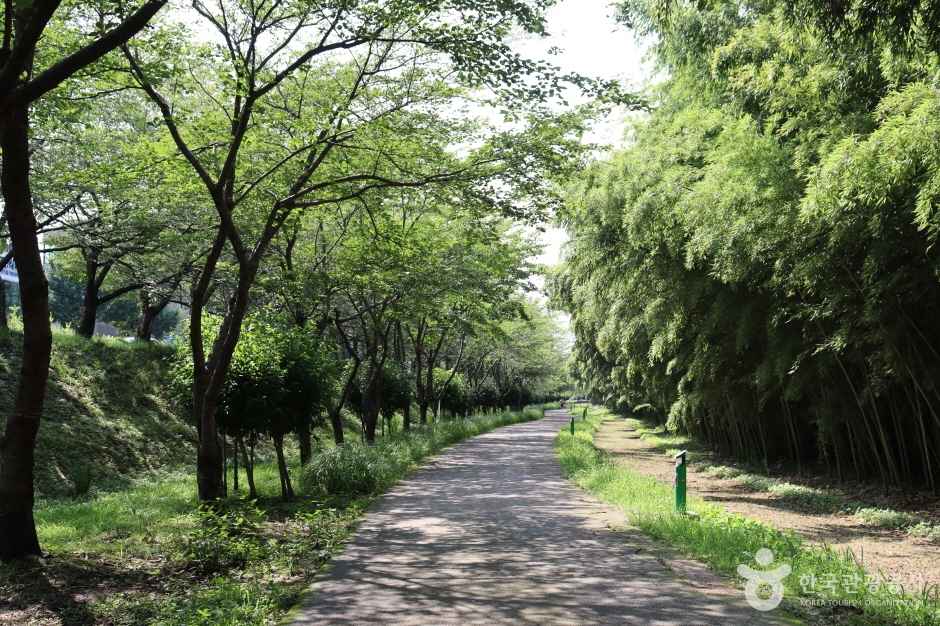 울산 태화강 국가정원 이미지 3
