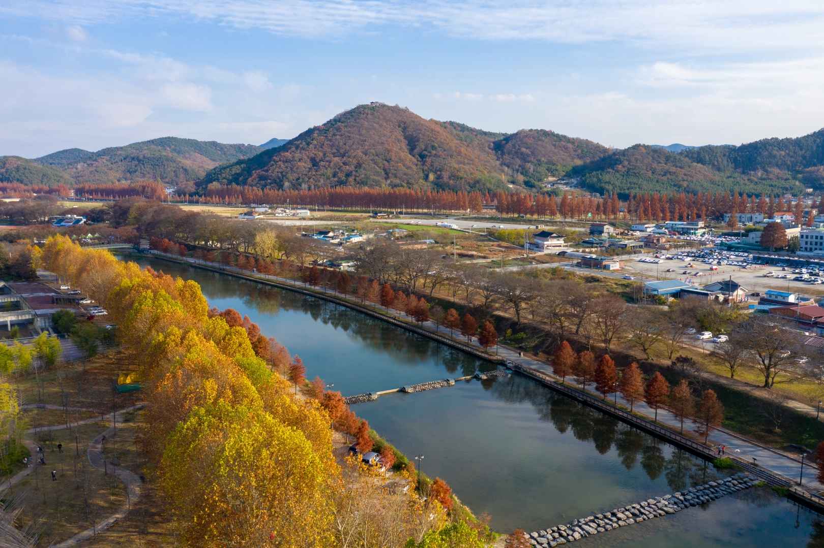 담양군 관방제림 이미지 6