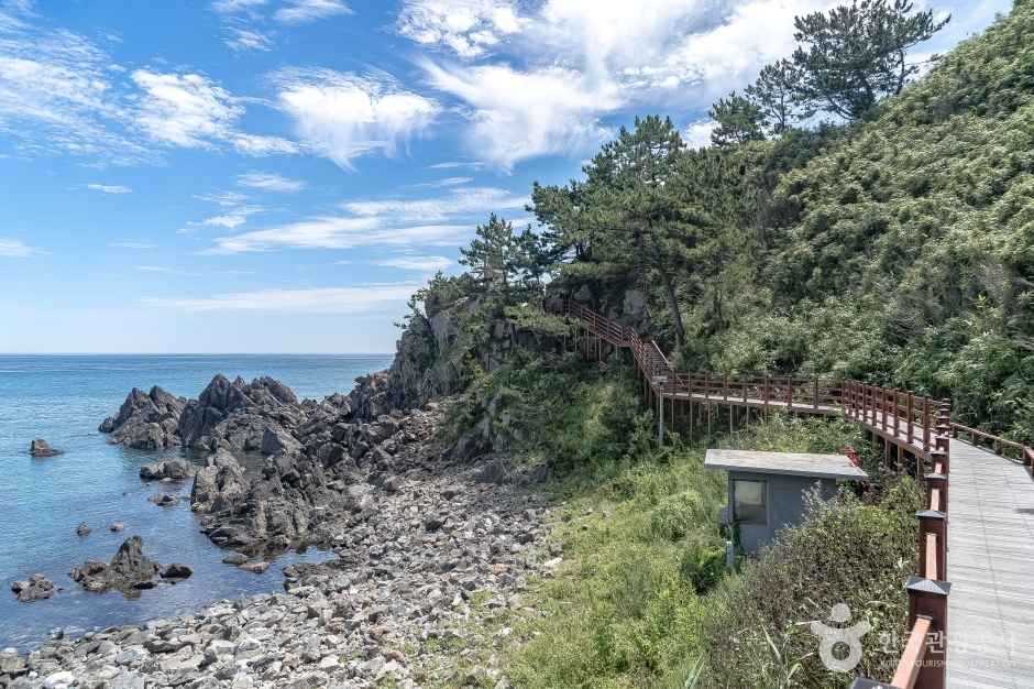 삼척 덕봉산 해안생태탐방로 이미지 1