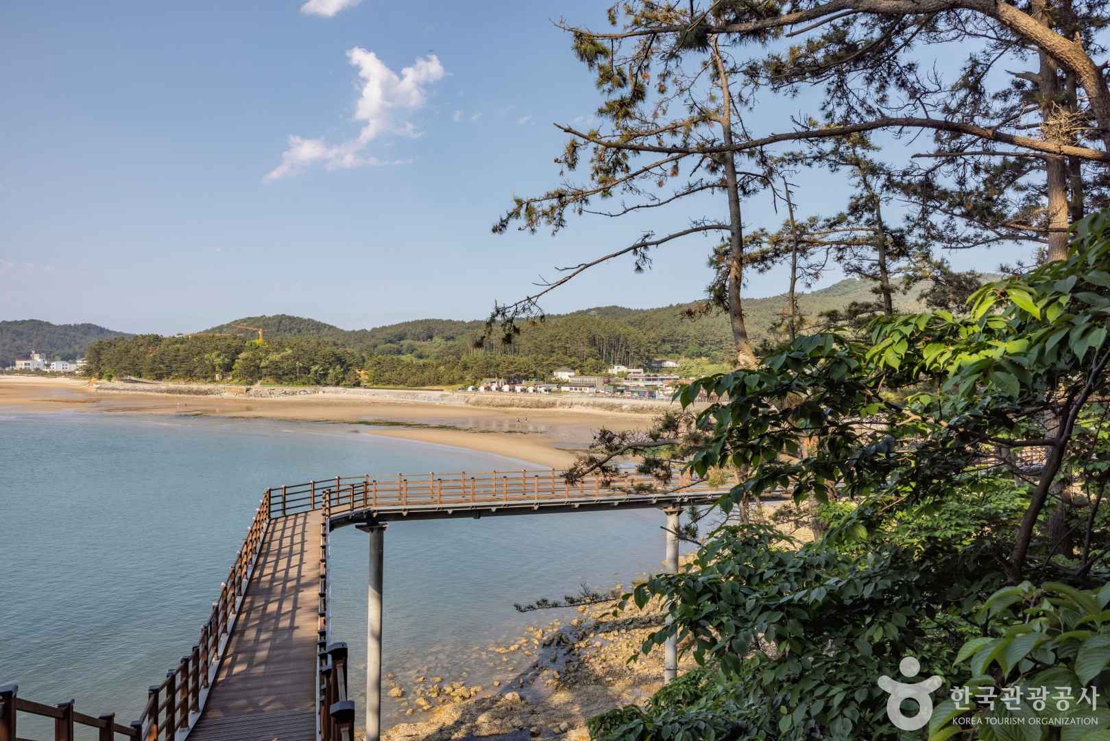 태안 뭍닭섬 산책로 이미지 1