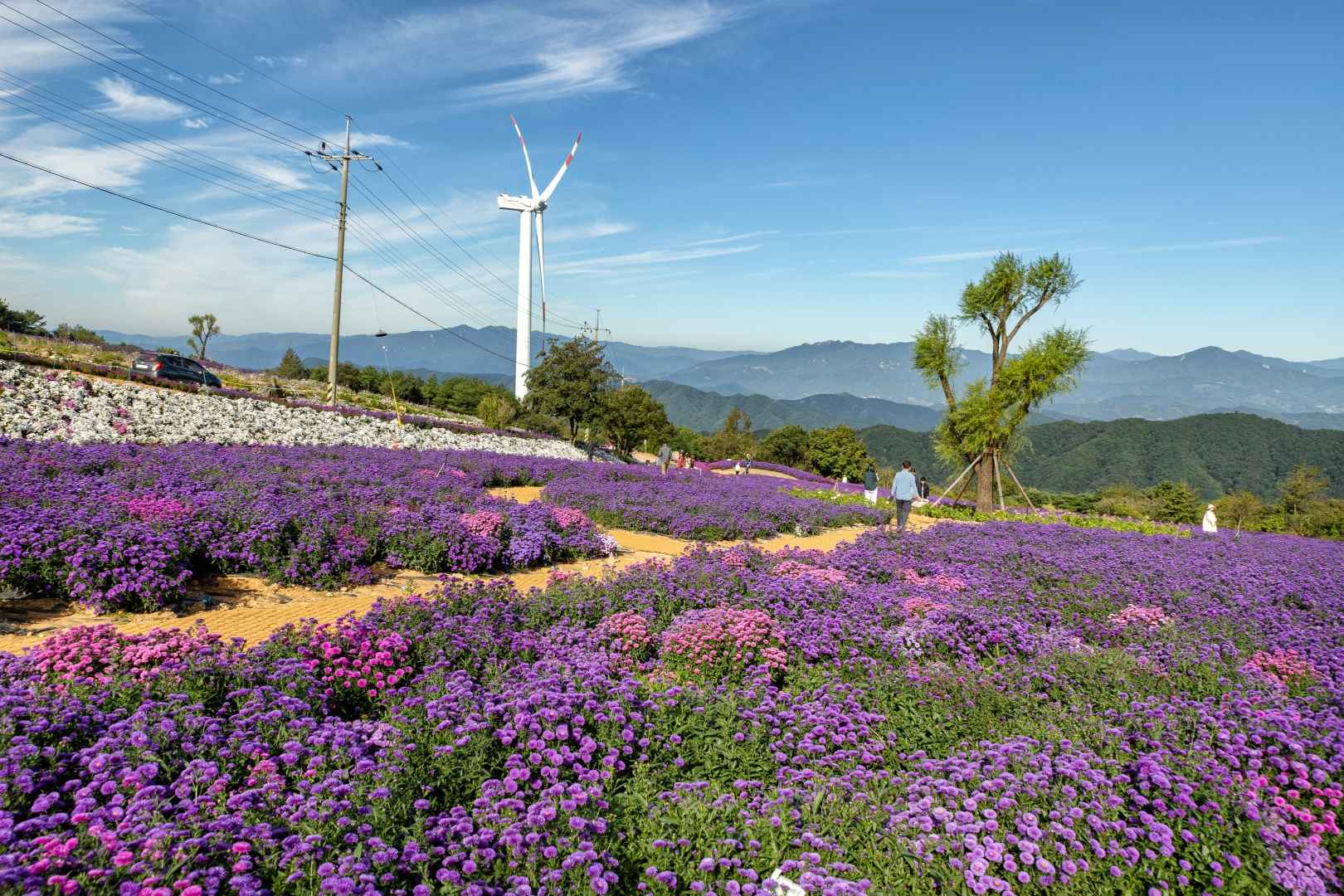 경남 거창 별바람언덕 이미지 3