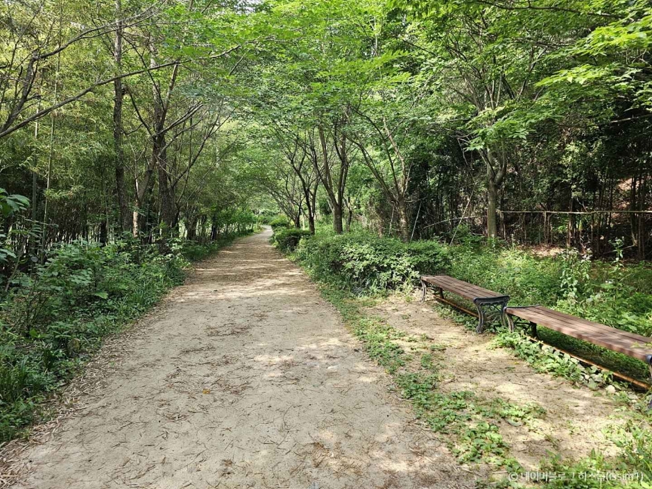 군산호수 둘레길 이미지 3