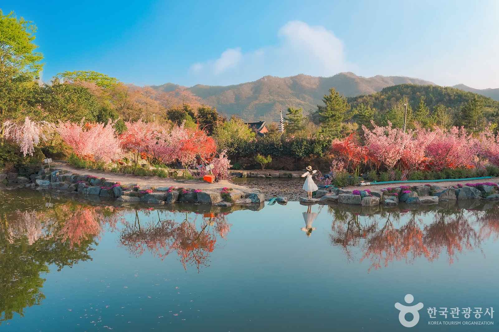전남 강진군 남미륵사 이미지 2