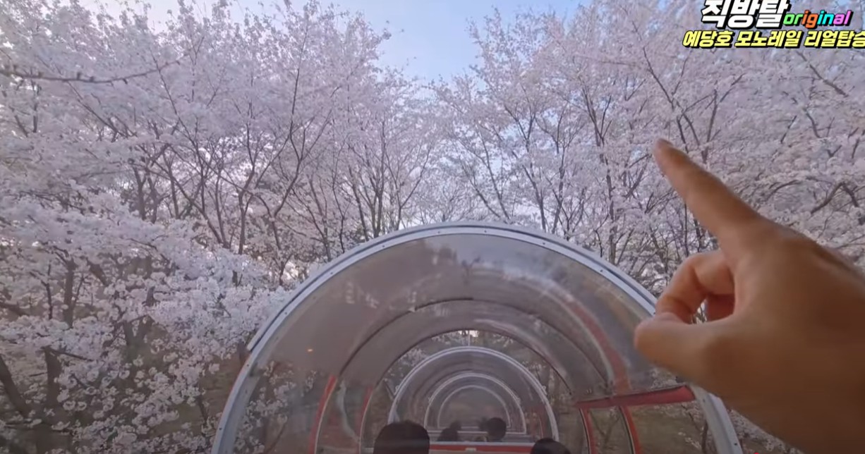 예산군 예당호 모노레일 이미지 6