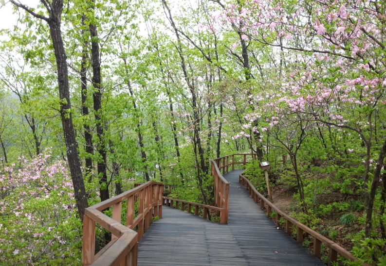 국립 횡성숲체원 이미지 4