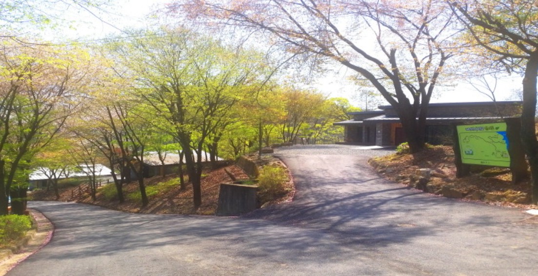 충주 계명산 자연휴양림 이미지 6