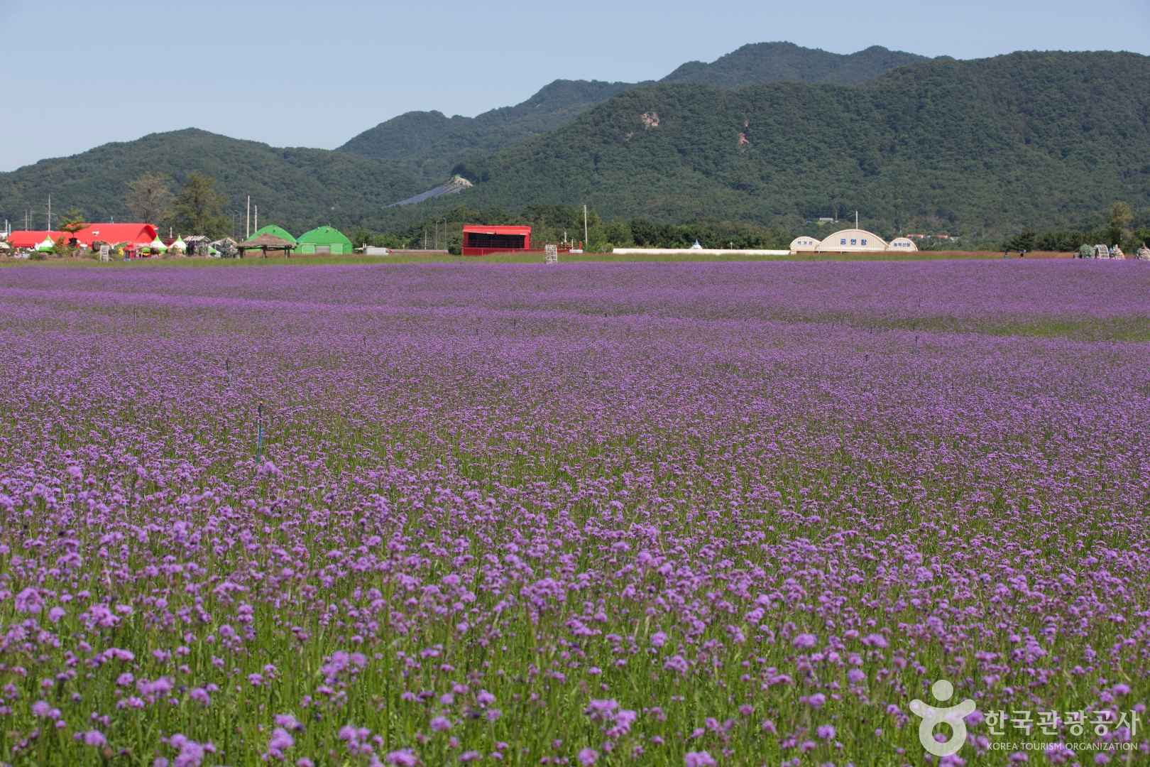 철원 고석정 국민관광지 이미지 7