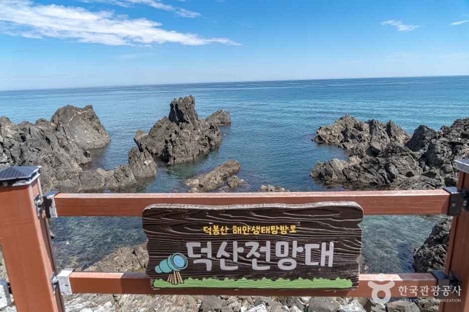 삼척 덕봉산 해안생태탐방로 이미지 6