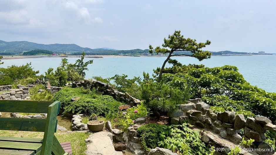 보령 상화원 [섬 전체가 정원] 이미지 1