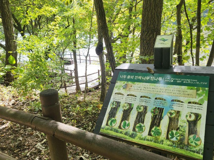 경북 주산지(청송 국가지질공원) 이미지 2