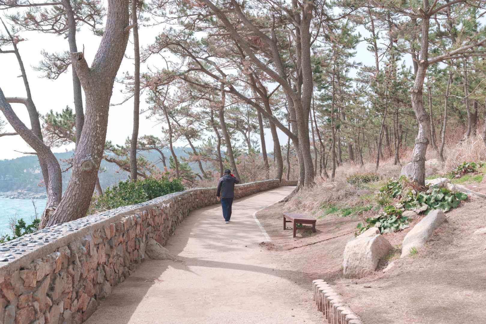 대왕암공원 이미지 5