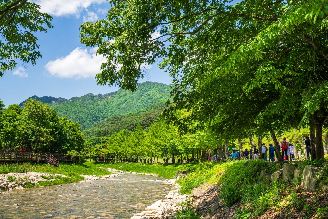 문경새재 도립공원 이미지 5