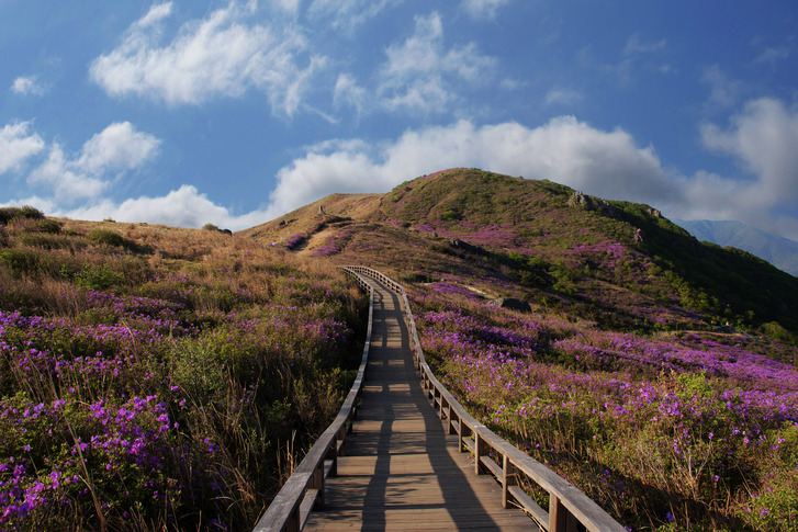 경남합천 황매산 군립공원_추천명 이미지 1