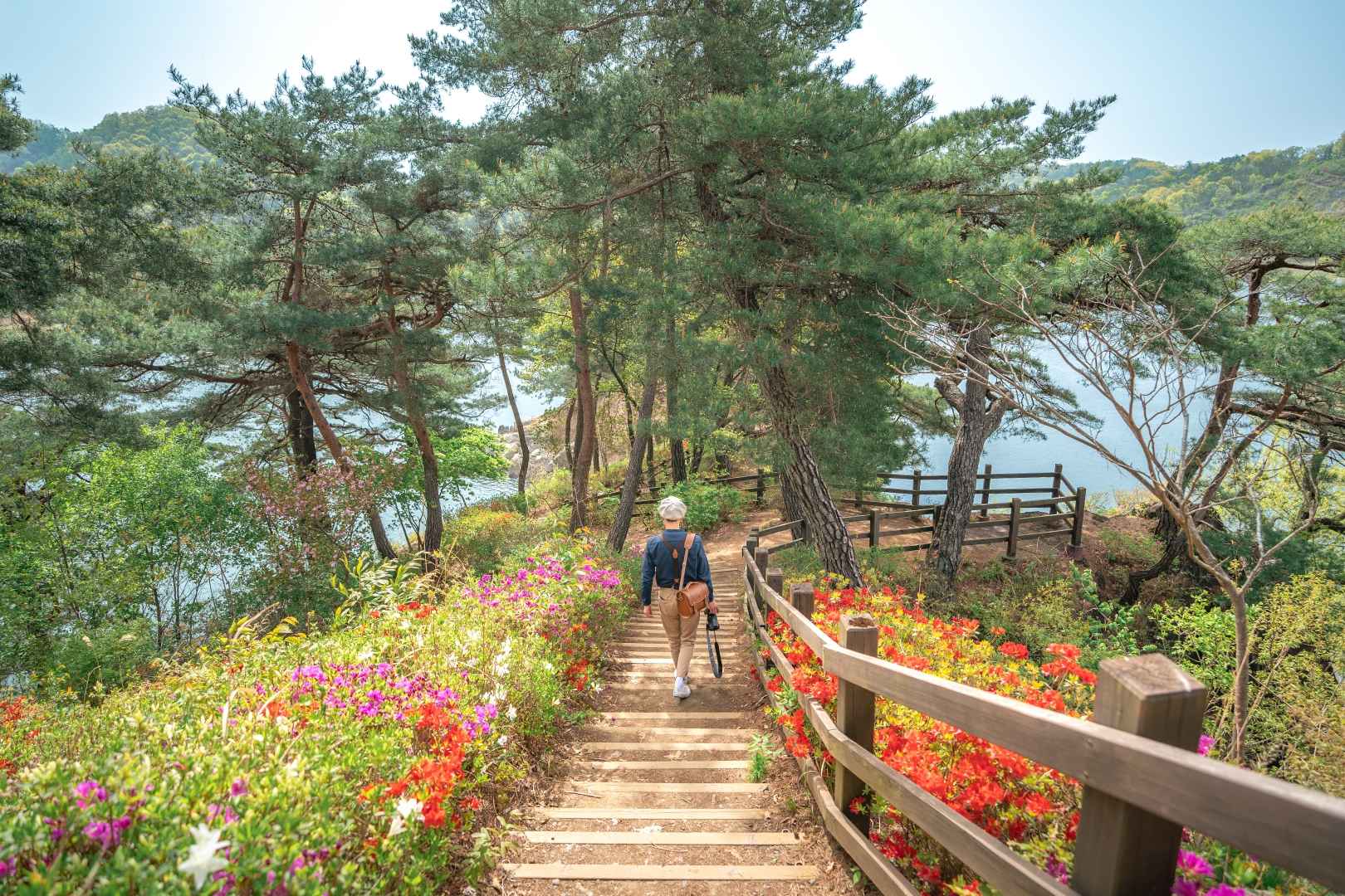 충북 옥천 부소담악 (추소정) 이미지 5