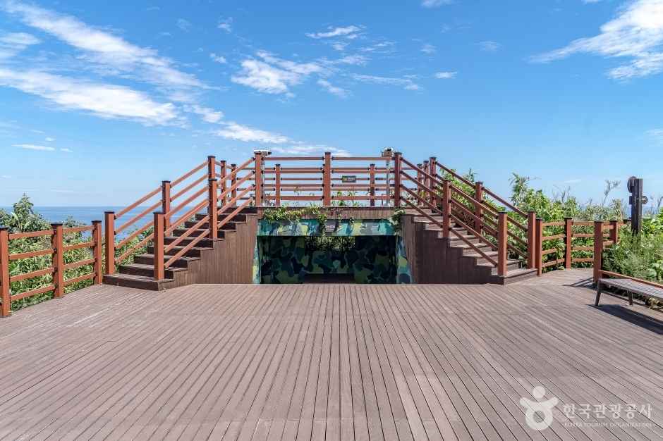 삼척 덕봉산 해안생태탐방로 이미지 5