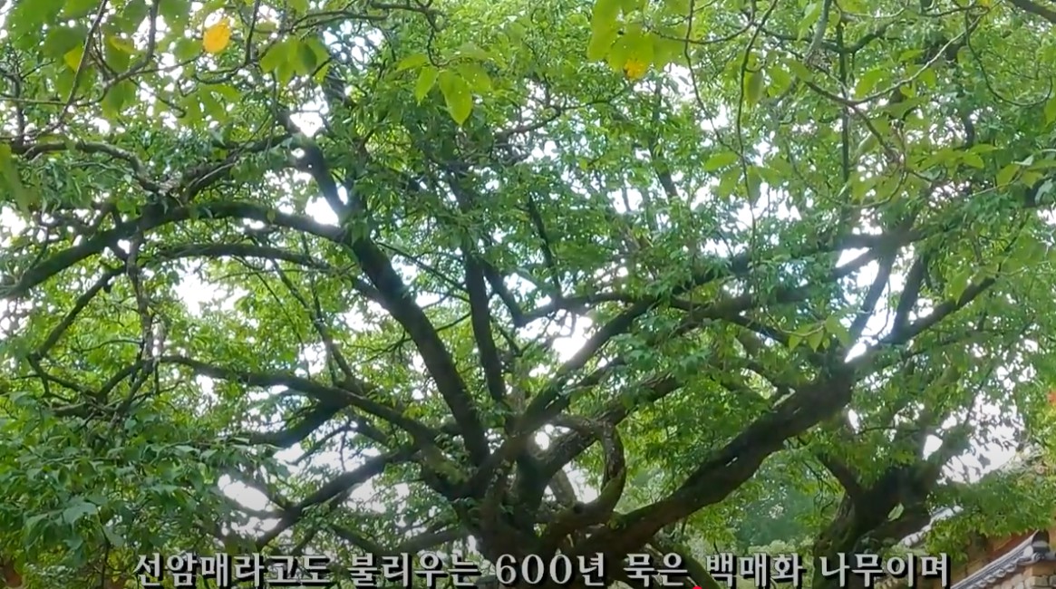 순천시 조계산 선암사[유네스코 세계유산] 이미지 3