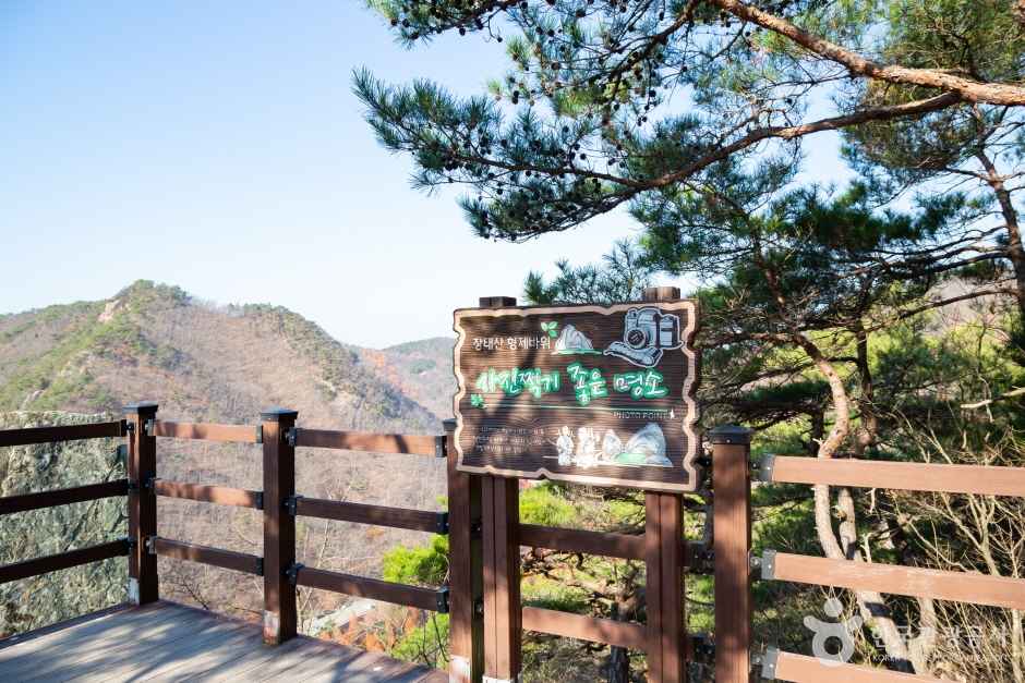 대전 장태산 자연휴양림 이미지 7