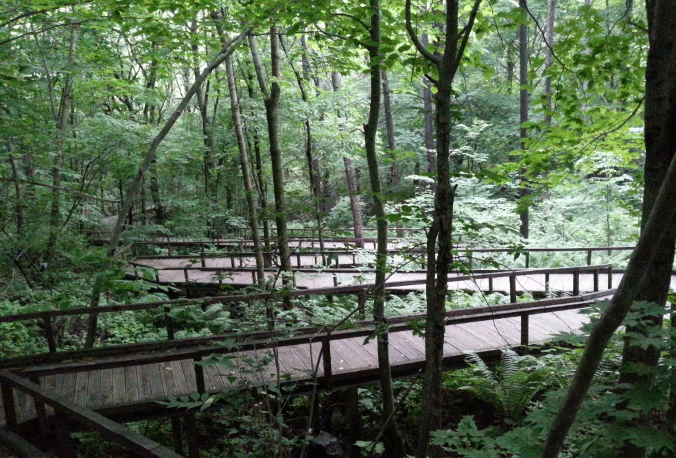 국립 횡성숲체원 이미지 7