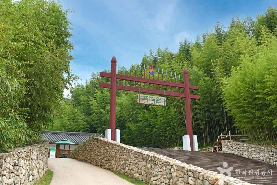 전남담양 죽녹원 이미지 4