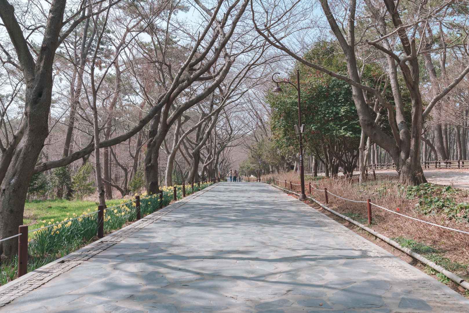 대왕암공원 이미지 3