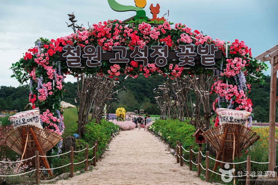 철원 고석정 꽃밭 이미지 1