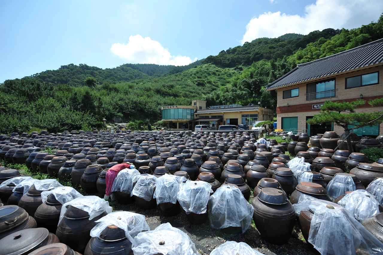 광양 홍쌍리 청매실농원 이미지 6