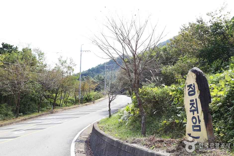 경남산청 정취암 가는길 이미지 3