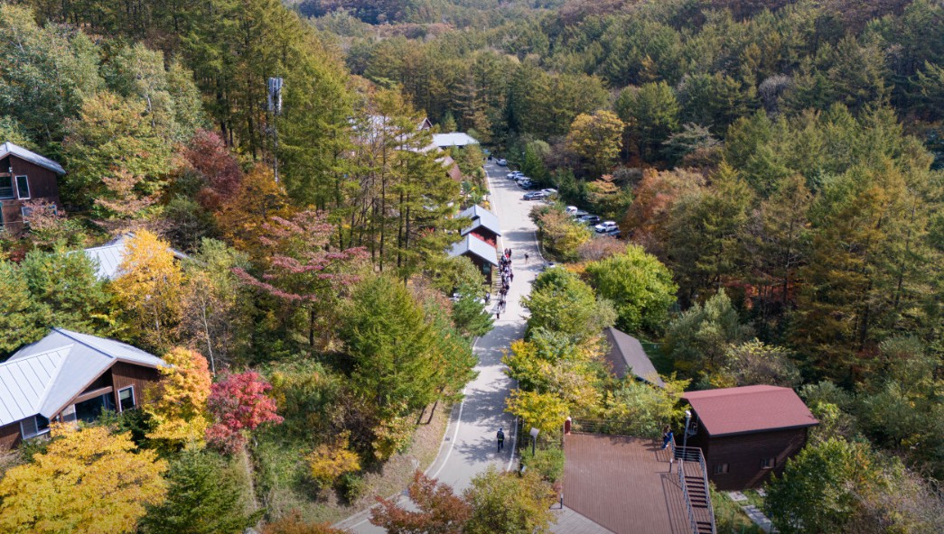 국립 횡성숲체원 이미지 2