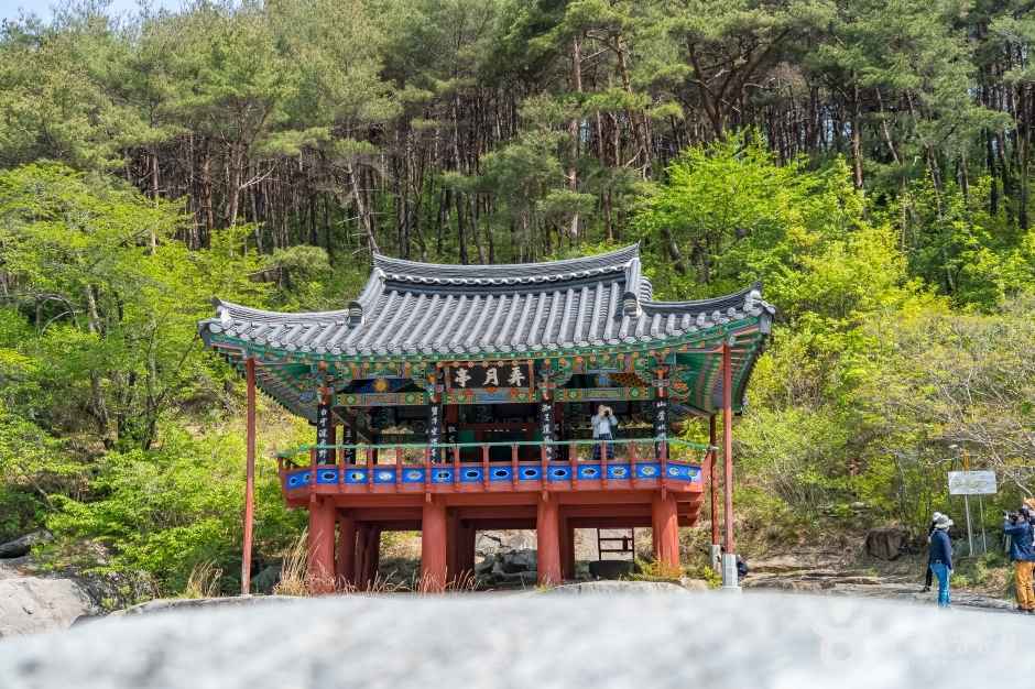 경남함양 농월정 국민관광지 이미지 4