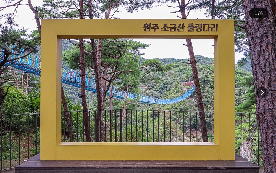 원주 소금산 출렁다리 이미지 4