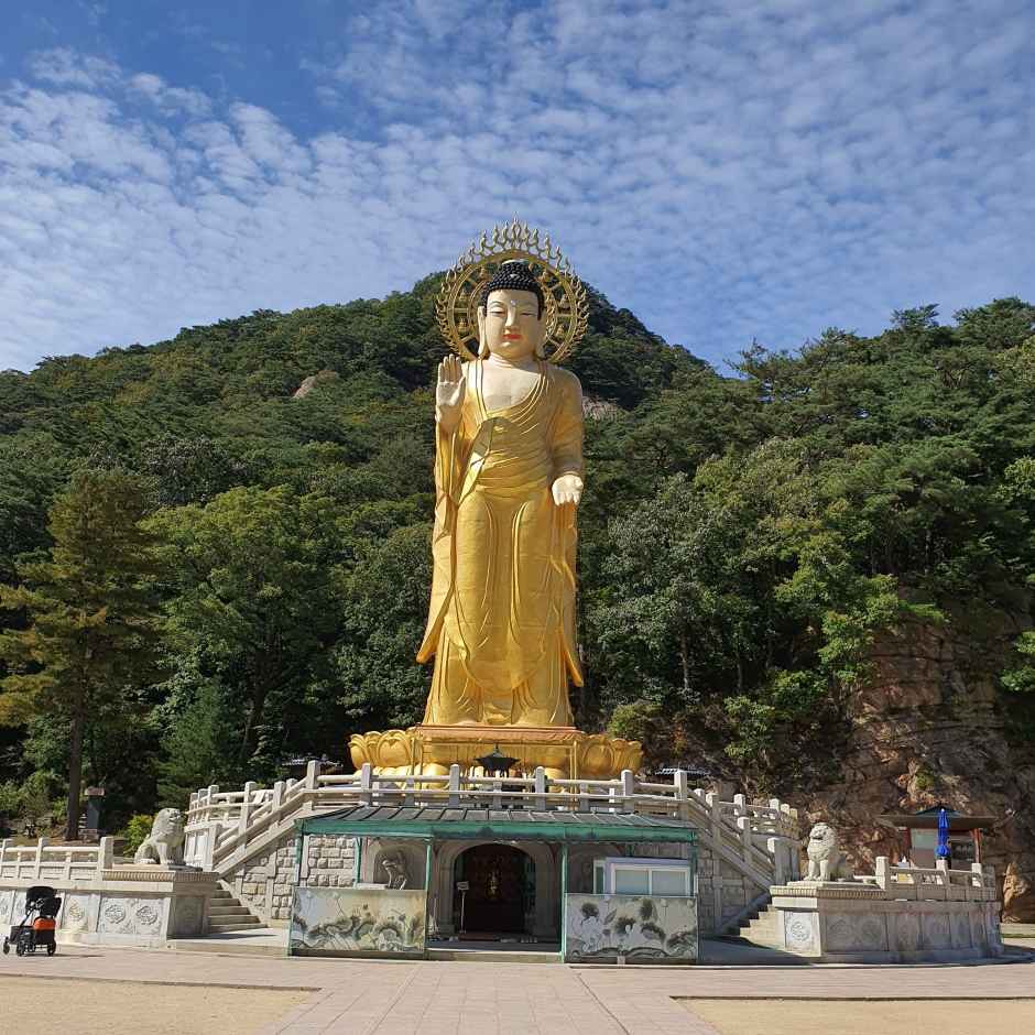 보은 속리산 법주사 [유네스코 세계유산] 이미지 6