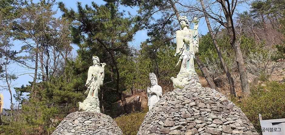 경남 사천 백천사 이미지 7