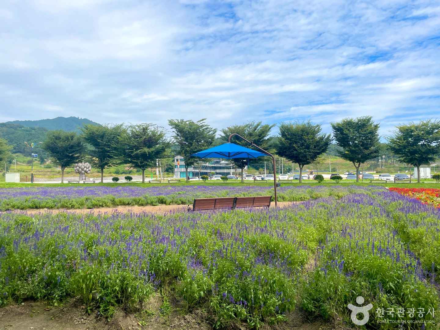경남 함양 상림공원_천년의 숲 이미지 6