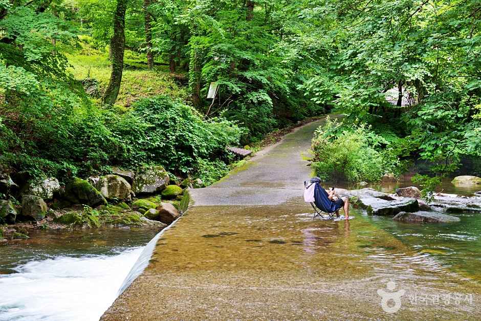 제천 덕동계곡 이미지 7