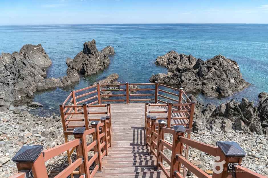 삼척 덕봉산 해안생태탐방로 이미지 7