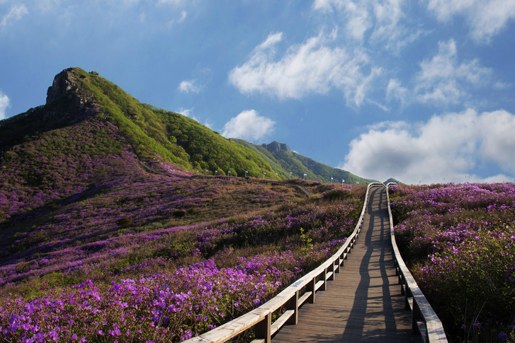 경남합천 황매산 군립공원_추천명 이미지 4