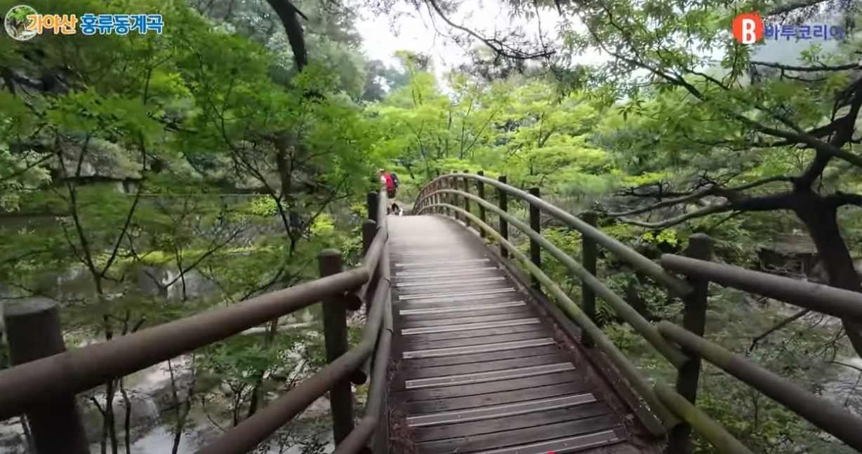 가야산 홍류동계곡. 이미지 5