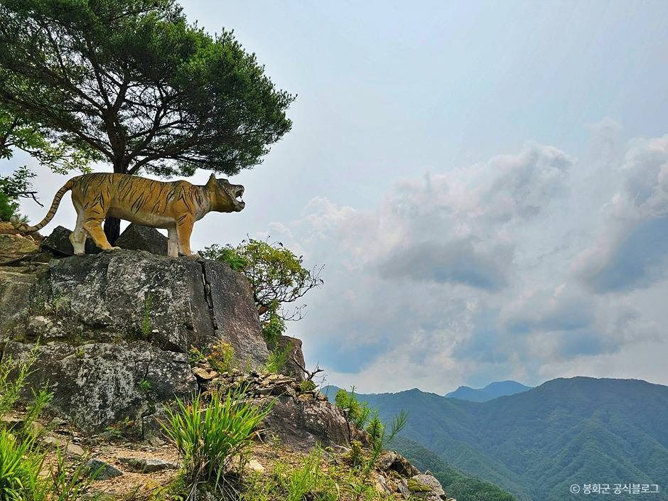봉화 범바위 전망대 _한반도 지형 이미지 3