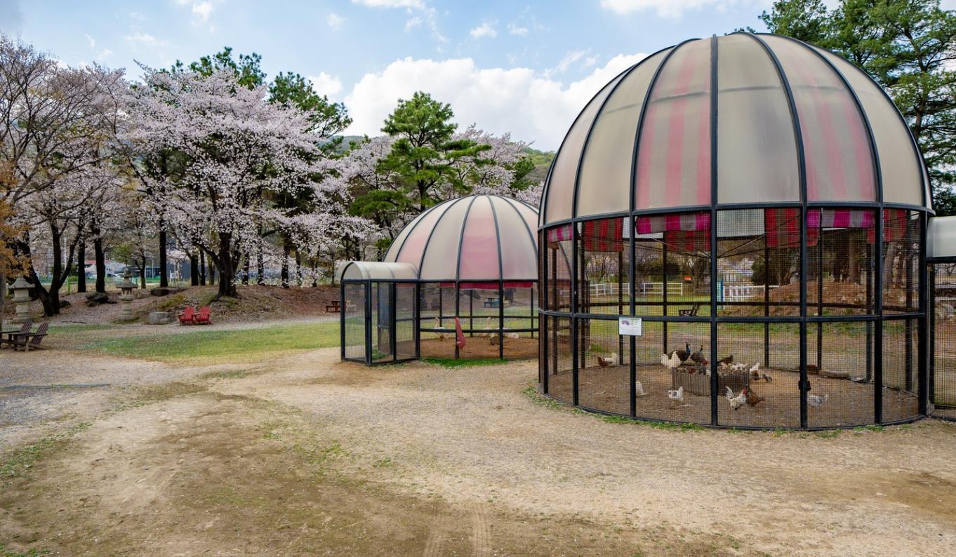 포천 서운동산 이미지 9