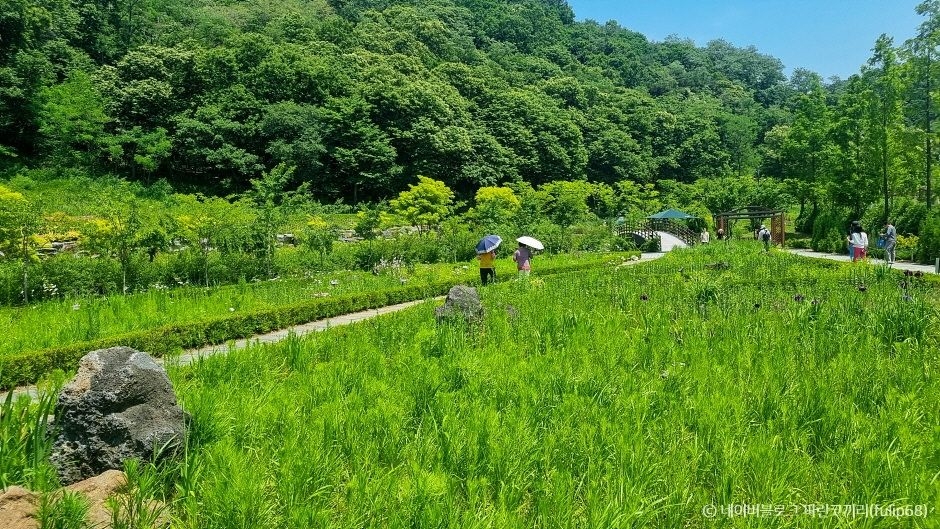 율곡수목원 이미지 4