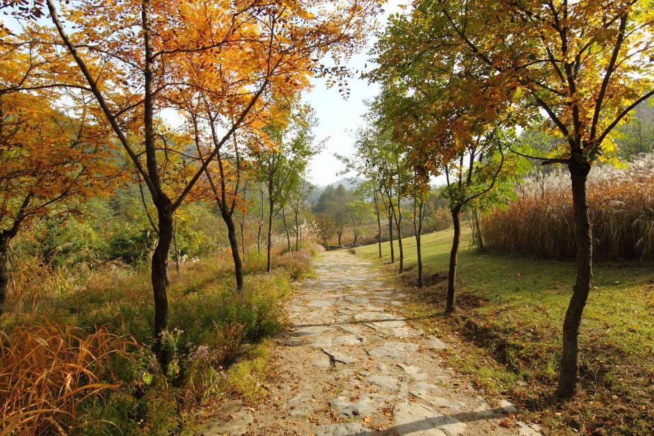 국립한국자생식물원 이미지 3