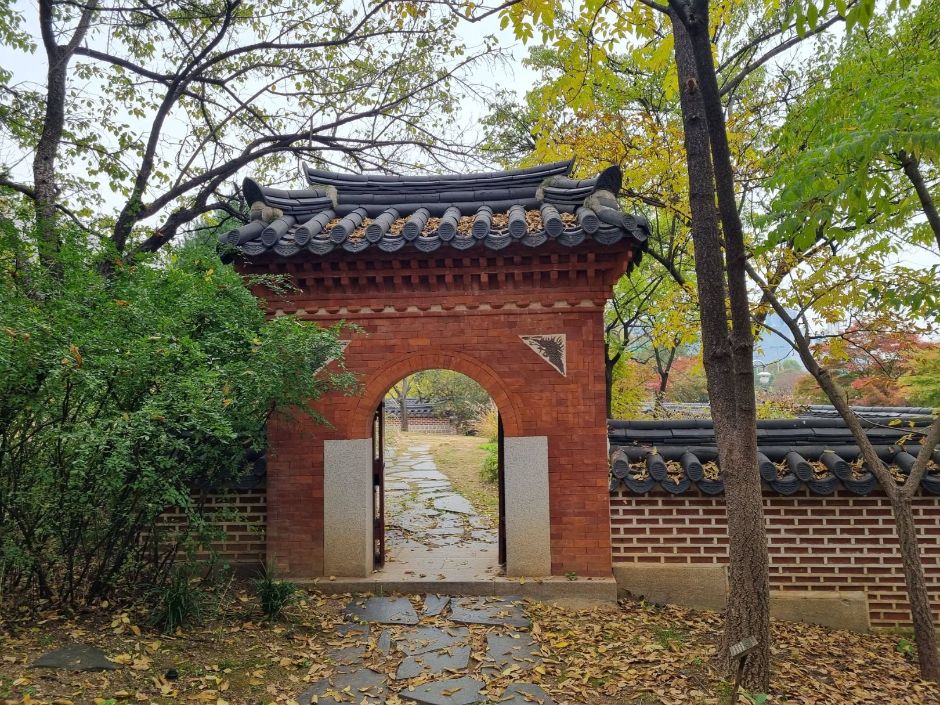 국립중앙박물관전통염료식물원 이미지 2